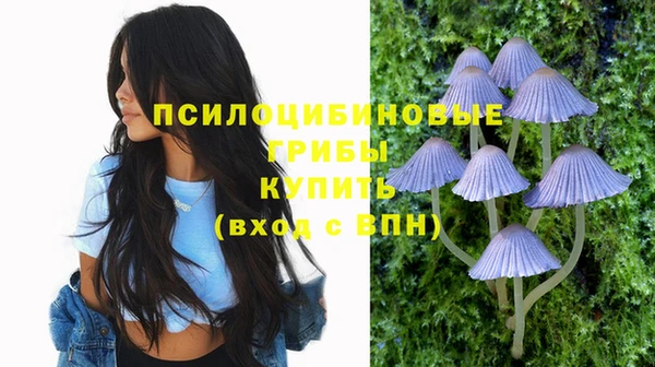 прущая мука Горняк
