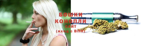 метадон Горнозаводск