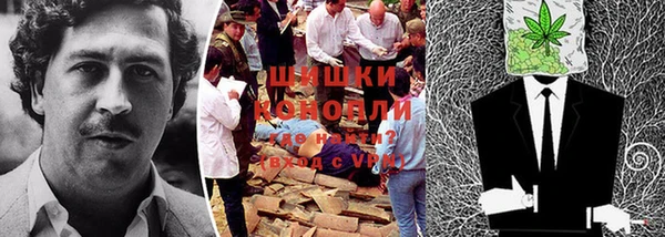 метадон Горнозаводск