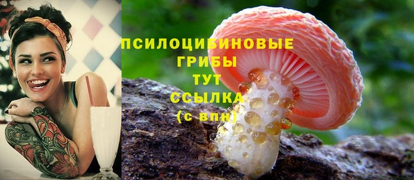 прущая мука Горняк