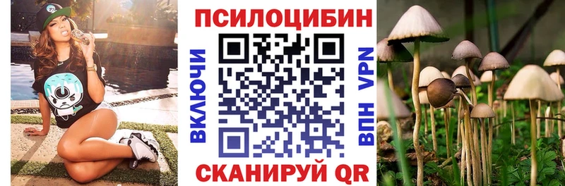 Галлюциногенные грибы GOLDEN TEACHER  наркотики  Дедовск 